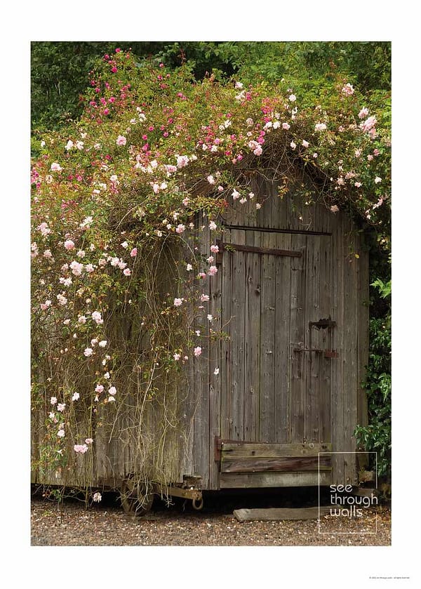 Flower-Covered Wooden Shed