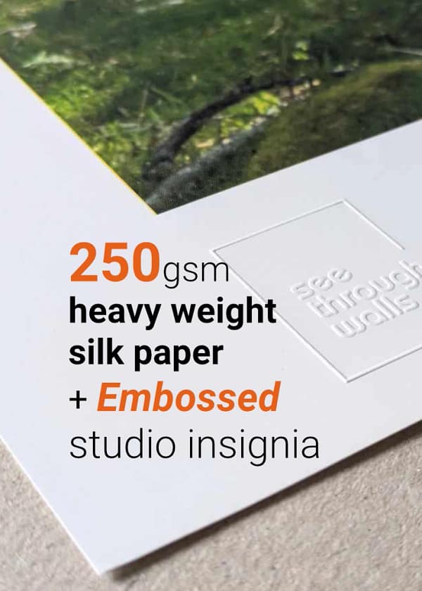 we use heavy weight 250gsm silk art paper for our prints and authenticate them with an embossed studio insignia.
