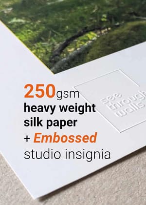 we use heavy weight 250gsm silk art paper for our prints and authenticate them with an embossed studio insignia.